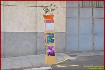 El Ejido inició esta noche sus fiestas patronales en honor de San Pedro y la Virgen del Carmen con el pregón y  varios reconocimientos (Foto TA y TF)